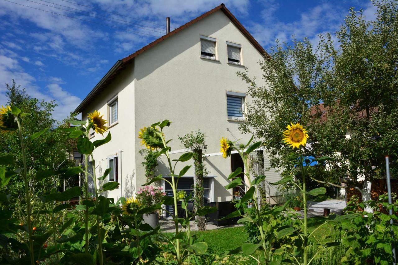 Ferienwohnung - Damisa House Metzingen  Esterno foto
